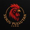 senju.pulutan