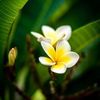 tania.saiful8