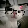 ally_annie..43