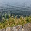 randomperson1234444