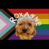 roxanne4737