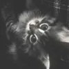 tearresd_