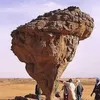 yacinesalahdine