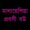 its_nill206