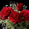 user1173581613169