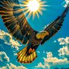 zabu.dogar