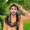 m.naqib.wazir
