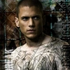 scofield.82