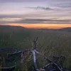 elcgdh1