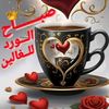 user6005684746171