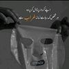 hamzariyaz14