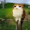 insert_unique_username75