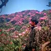 van.hieu888