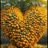 nguyn.th.ha1319