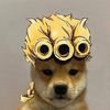 sr_pug1