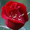 altaf.qmaerabbas