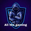ali.the.gamer7