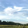 tranhuy050408
