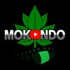 MOKONDO Studios