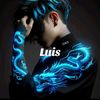 luisledezma323