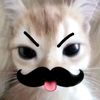 tiaskayapping