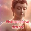 user7281720516115