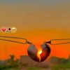 bali_king72