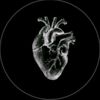 salman_828_k
