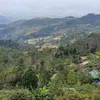 hin.minh.12