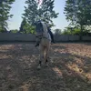tornabdiqz2