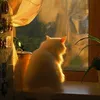 lesya26138