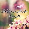 user2137996513115