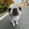 stewie