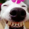 thngchjc9