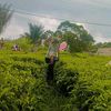desiningsihanjani