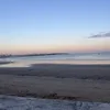 marinelastar87