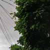 wrdhere.32