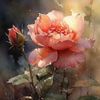 samah.masuad