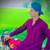 mir.hassan264