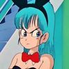 bulma.bulma1