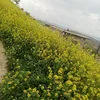 user1415429636656