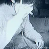 .lonelyfrfr