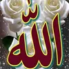 user2430681861177