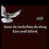 ibrahimli_di05