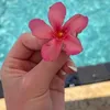 alice_alice010