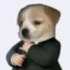 zn_siqueira