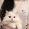 aqsuu_khanz