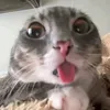 aidennn_099