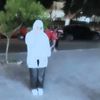 haneen6497
