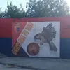 nicolarossi388